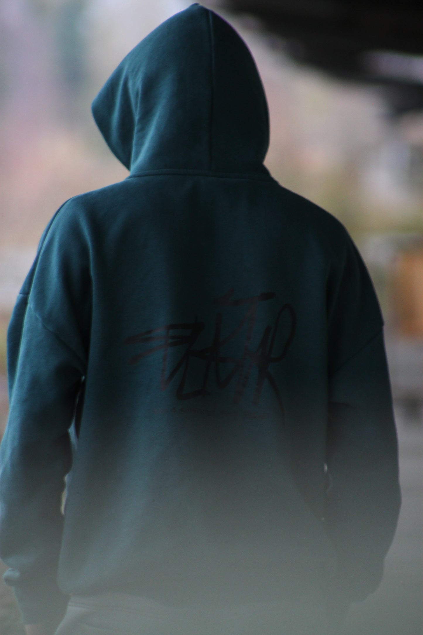 „Risk is always better than Regret‘‘ Hoodie