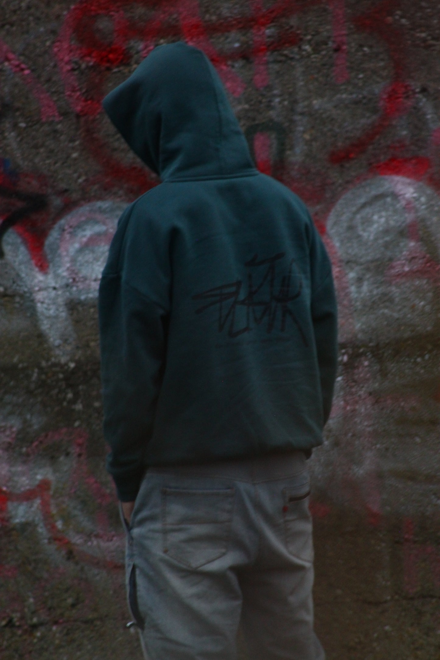 „Risk is always better than Regret‘‘ Hoodie